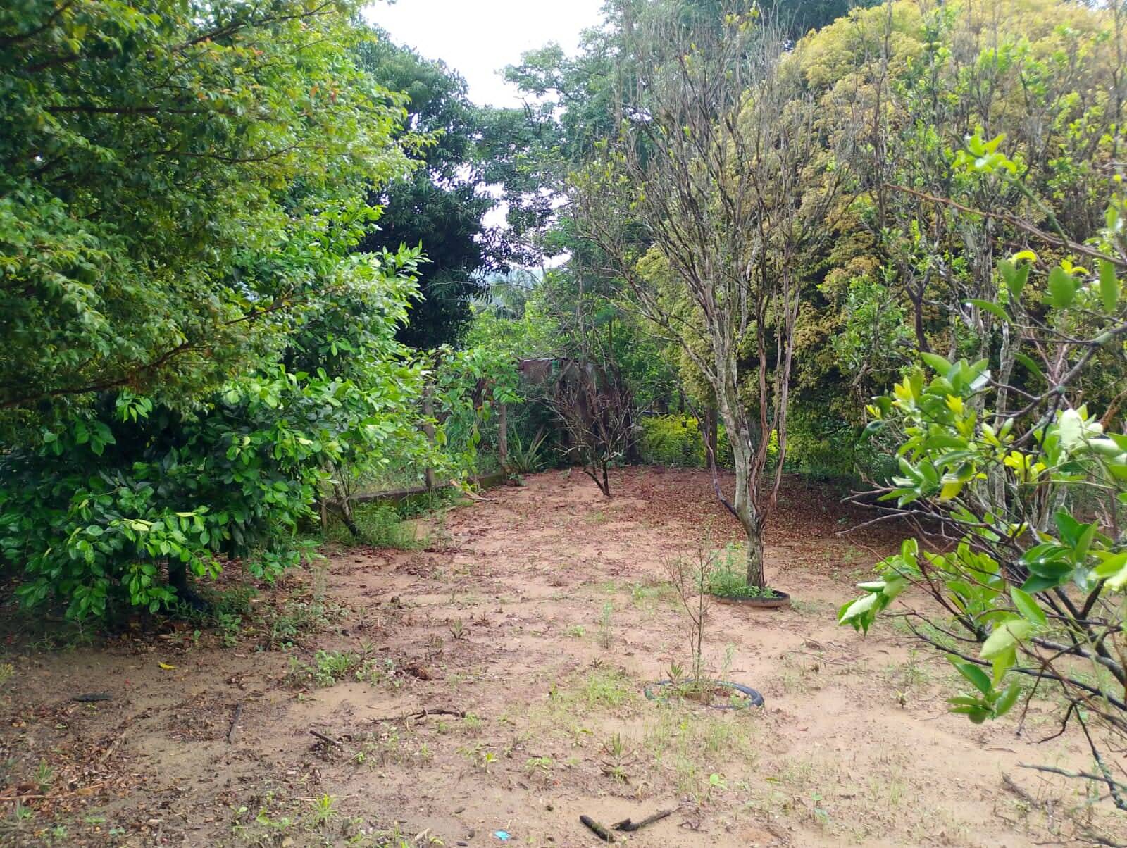 Sítio, 2 quartos, 1000 m² - Foto 10