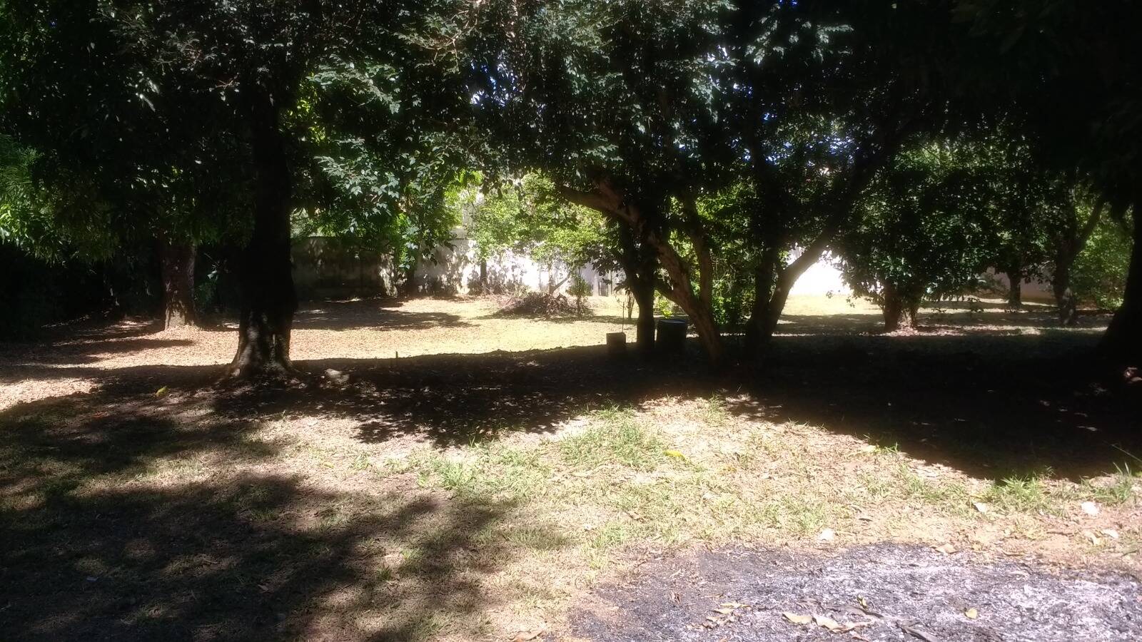 Terreno - Foto 1