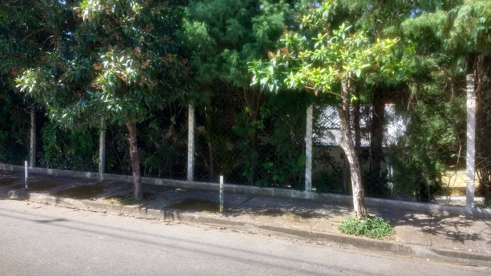 Terreno - Foto 2