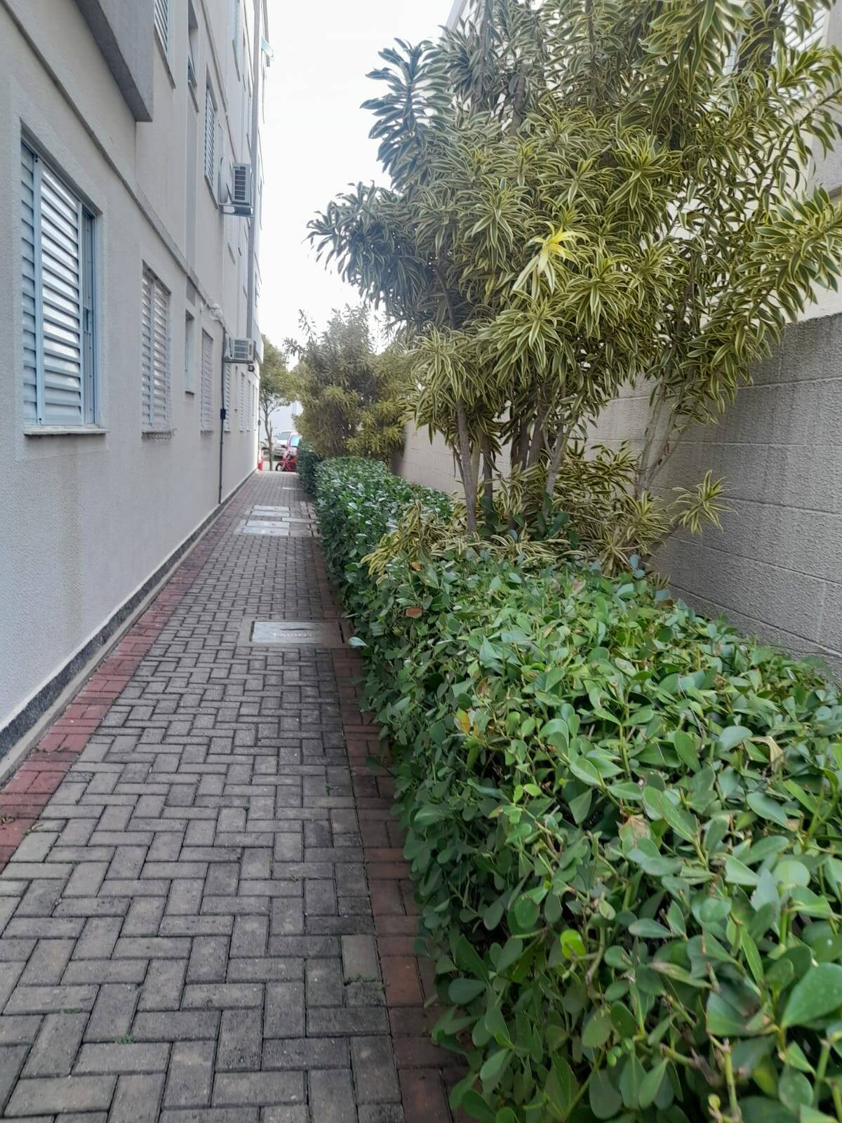 Apartamento, 2 quartos - Foto 2