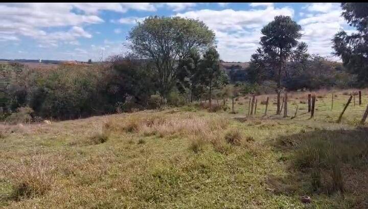 Terreno, 3000 m² - Foto 2