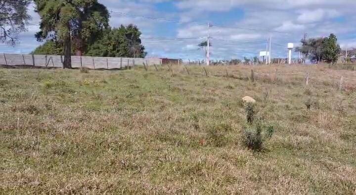 Terreno, 3000 m² - Foto 4