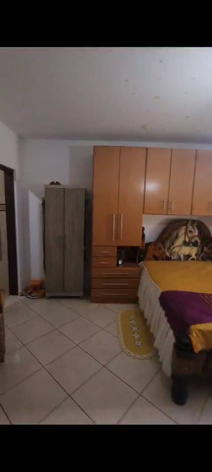 Sítio, 6 quartos, 2 hectares - Foto 12