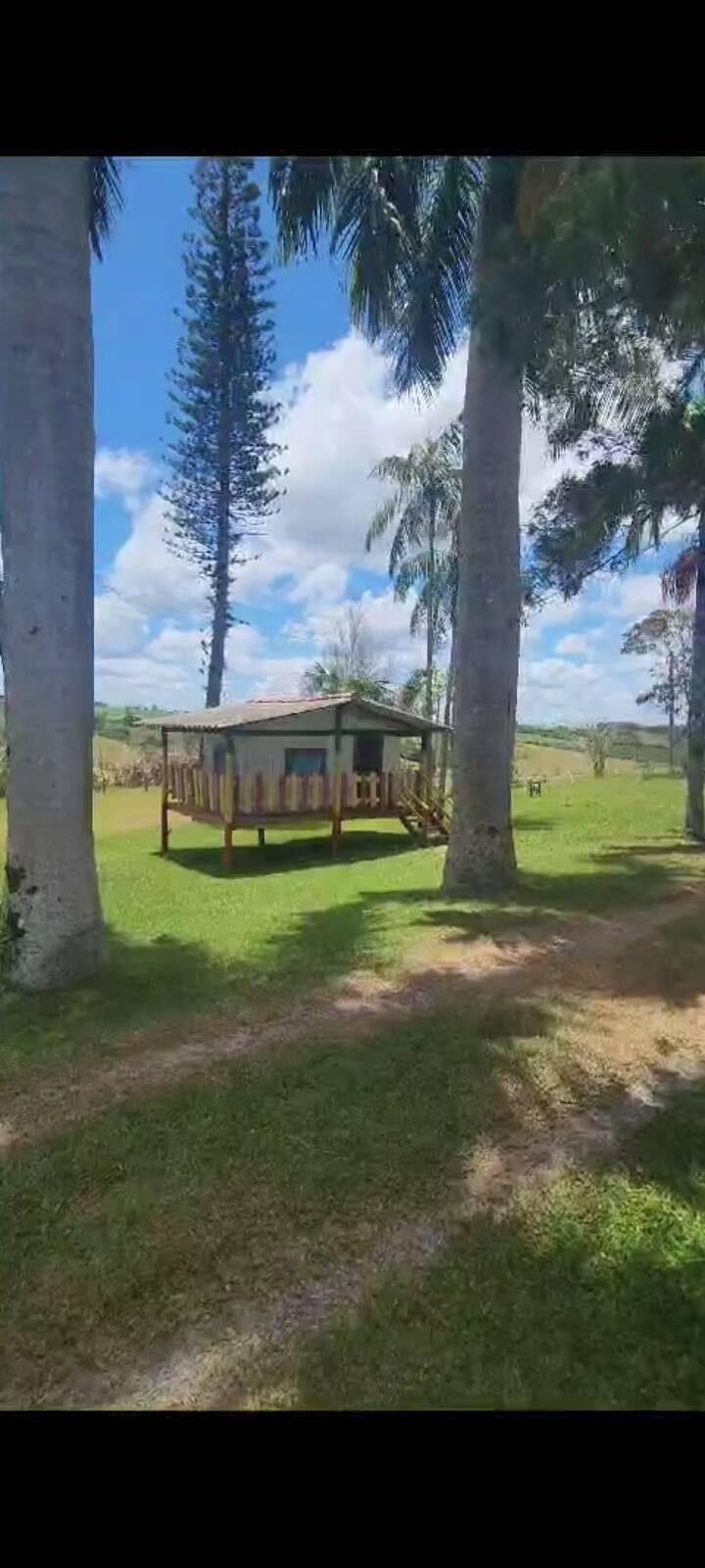 Sítio, 6 quartos, 2 hectares - Foto 17