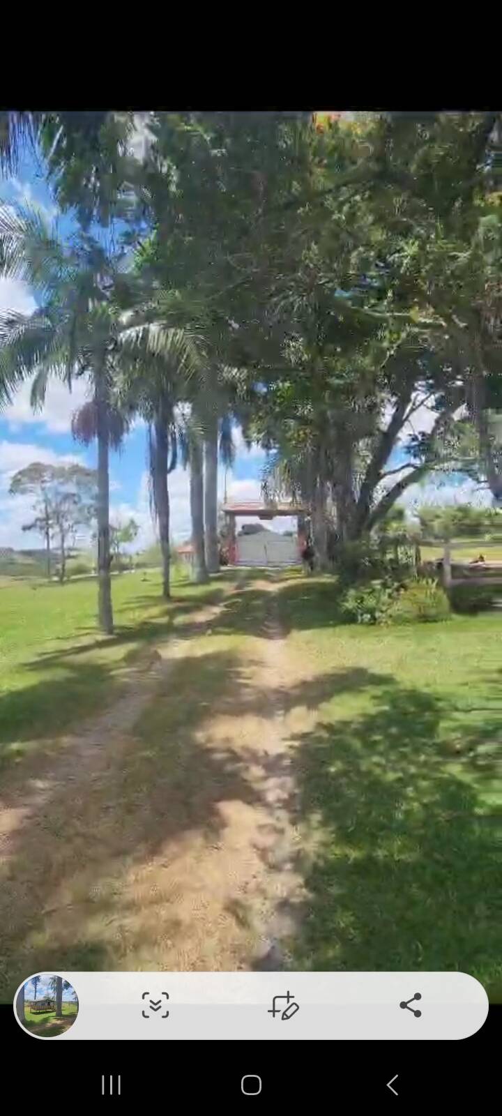Sítio, 6 quartos, 2 hectares - Foto 20
