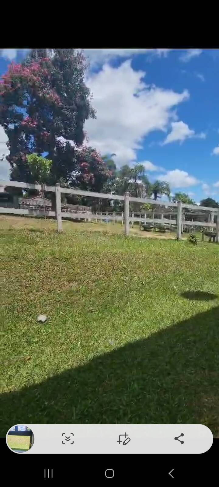 Sítio, 6 quartos, 2 hectares - Foto 21