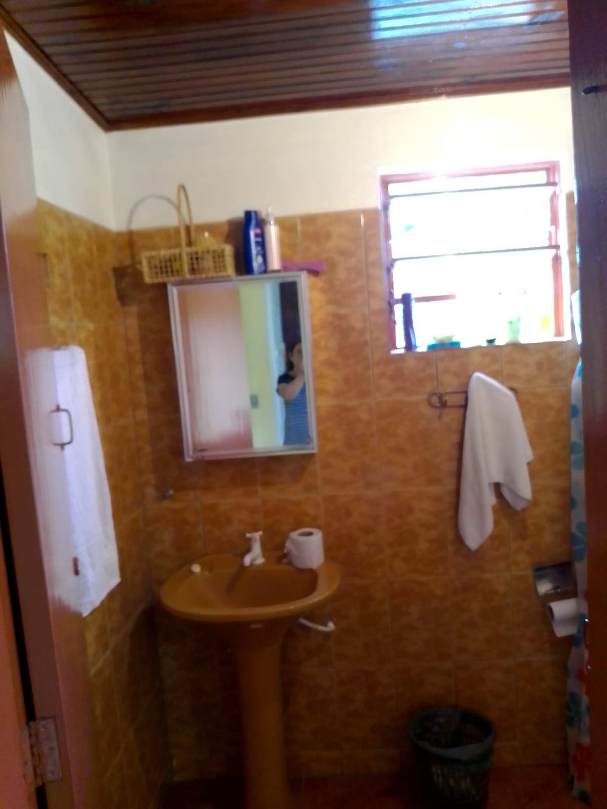 Chácara à venda com 2 quartos, 2000m² - Foto 6