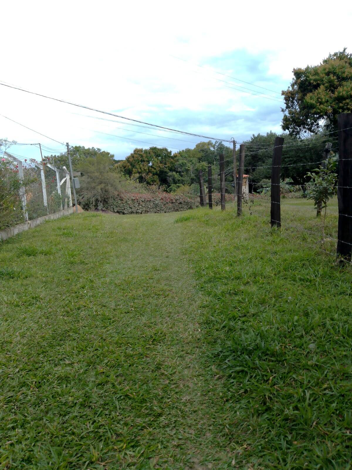 Chácara à venda com 2 quartos, 2000m² - Foto 12