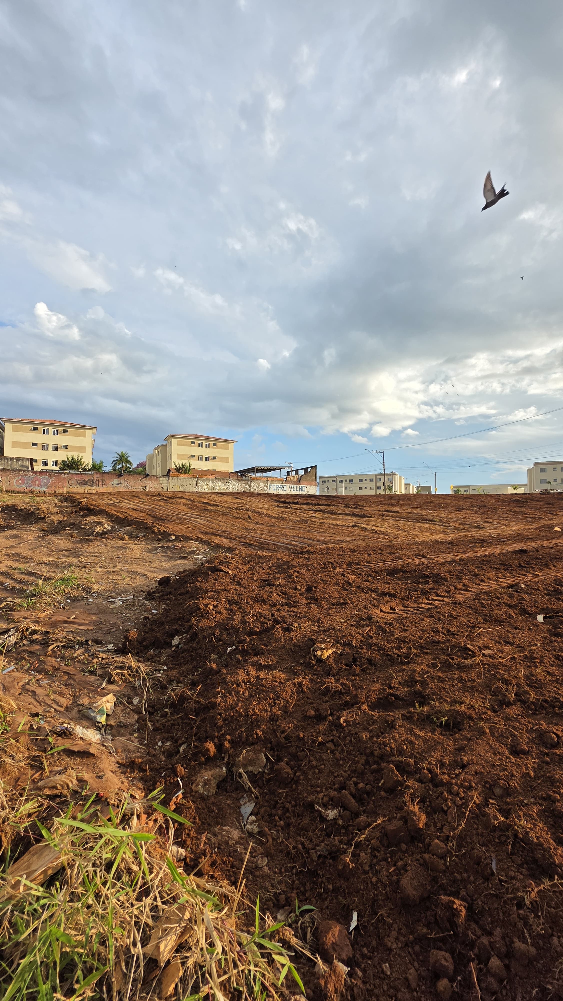 Sala-Conjunto - Foto 4