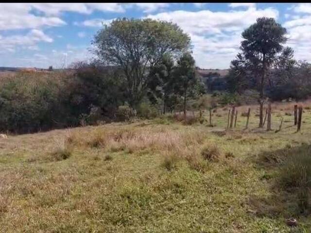 #10 - Chácara para Venda em Araçoiaba da Serra - SP - 2