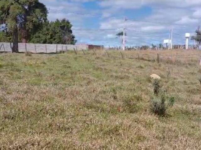 Chácara para Venda em Araçoiaba da Serra - 4